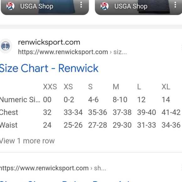 Renwick Sleeveless Polo Striped Size Large - Picture 10 of 10